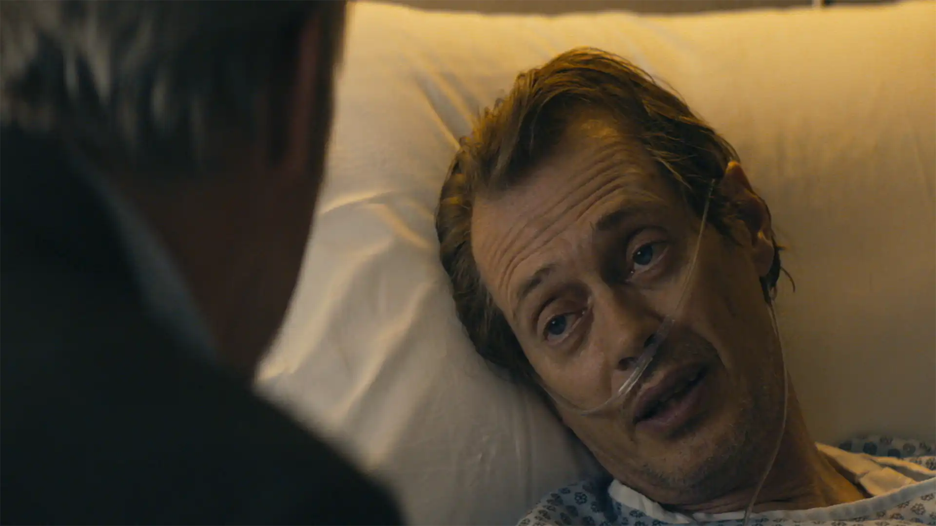 Steve Buscemi in Handsome Harry